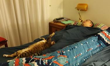 A person lying on a bed with a cat on the chest

Description automatically generated with medium confidence